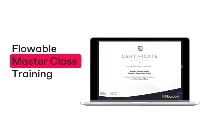 Mimacom Mitarbeiter vertiefen Fachwissen in Flowable Low-Code Master Class