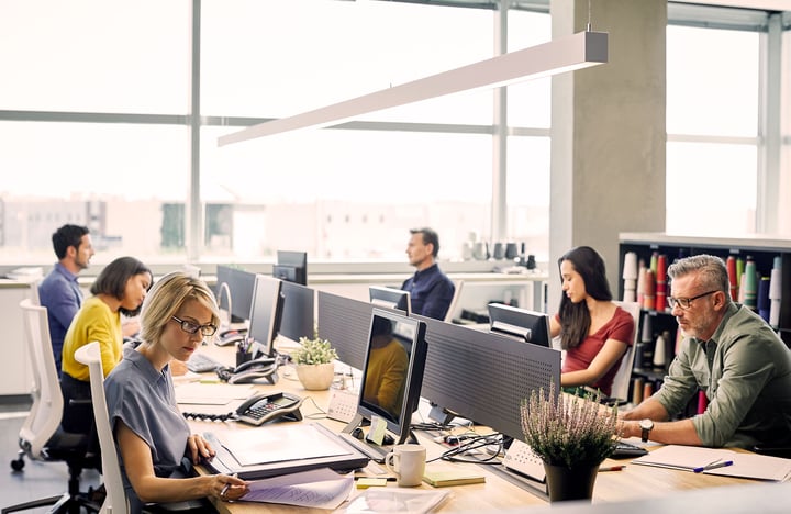 Hardly any company will succeed without Citizen Developers in the future